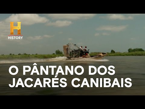 Leia mais sobre o artigo O pântano dos jacarés canibais | MERGULHADOS NO PÂNTANO | HISTORY