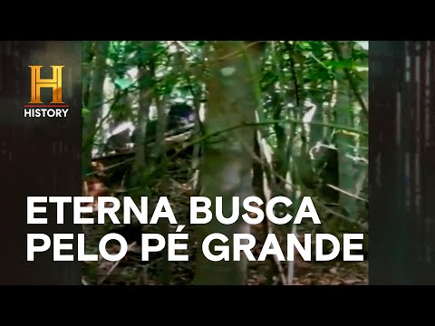 Leia mais sobre o artigo Eterna busca pelo Pé Grande | MISTÉRIOS REVELADOS | HISTORY