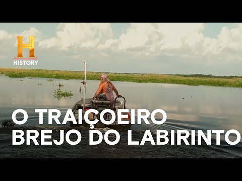 Você está visualizando atualmente O traiçoeiro brejo do Labirinto | MERGULHADOS NO PÂNTANO | HISTORY