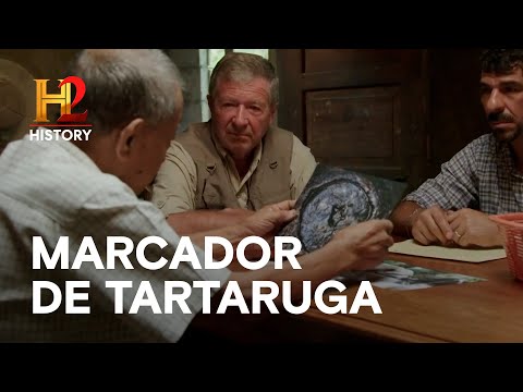 Leia mais sobre o artigo Nova pista de marcador de tartaruga | O OURO PERDIDO DA SEGUNDA GUERRA MUNDIAL | HISTORY