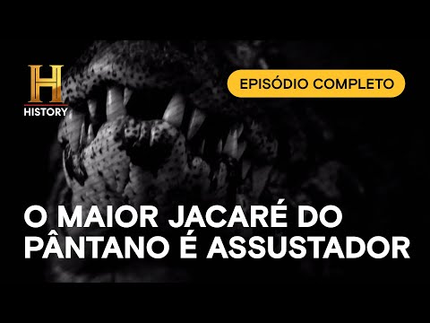 Leia mais sobre o artigo EPISÓDIO COMPLETO: 🐊 MISTÉRIOS DO PÂNTANO – EL DIABLO: O Maior Jacaré do Pântano 😱 | HISTORY