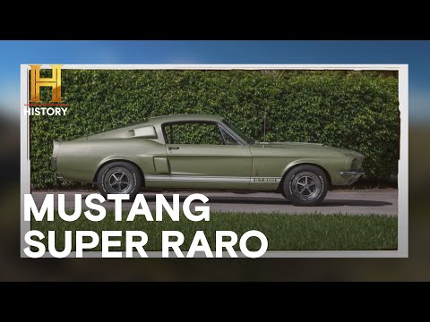 Leia mais sobre o artigo A busca de Mike por um carro lendário: O Shelby Mustang | CAÇADORES DE RELÍQUIAS | HISTORY