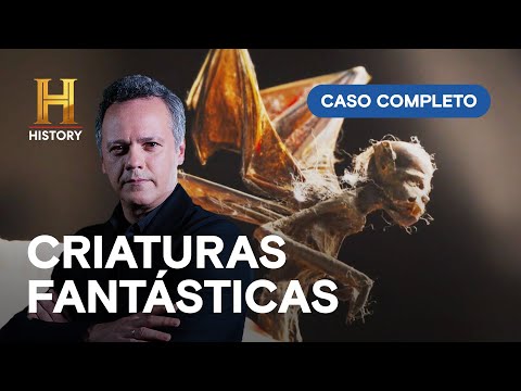 Leia mais sobre o artigo Evidências mostram que fadas e gigantes são reais | INEXPLICÁVEL COM DANTON MELLO | CASO COMPLETO