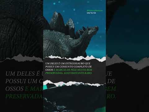 Leia mais sobre o artigo Encontraram pele de dinossauro ​ #shorts