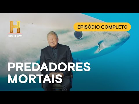 Leia mais sobre o artigo EP COMPLETO: INEXPLICÁVEL COM WILLIAM SHATNER – Os predadores mais mortais do reino animal | HISTORY