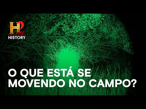 Você está visualizando atualmente O que está se movendo no campo? | O SEGREDO DO RANCHO SKINWALKER | HISTORY