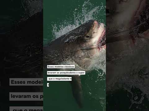 Você está visualizando atualmente A FORMA DO MEGALODONTE #shorts