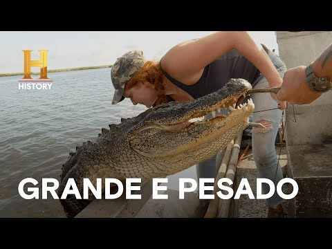 Você está visualizando atualmente Jacaré de 190 quilos é o triunfo da temporada | MERGULHADOS NO PÂNTANO | HISTORY