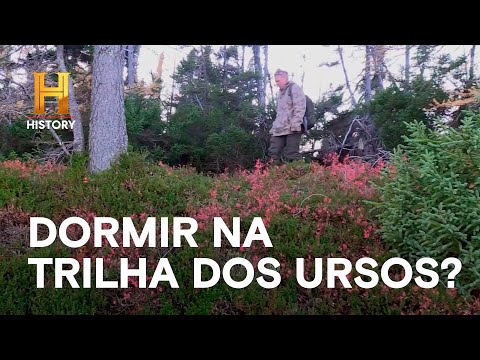 Leia mais sobre o artigo Dormir na trilha dos ursos? | SOZINHOS: DESAFIO NO GELO | HISTORY