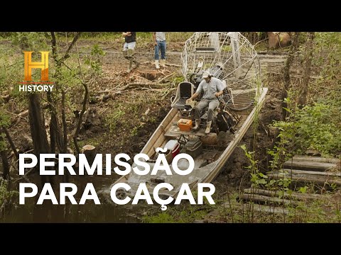 Você está visualizando atualmente Daniel e Dorian entram em um território inexplorado | MERGULHADOS NO PÂNTANO | HISTORY