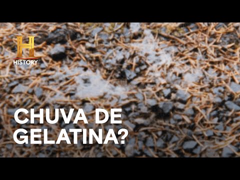 Leia mais sobre o artigo Chuva misteriosa é uma praga descrita na Bíblia? | MISTÉRIOS REVELADOS | HISTORY