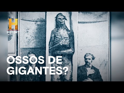 Leia mais sobre o artigo 🦴 Como explicar esses ossos gigantes em uma caverna? 🦴 | INEXPLICÁVEL COM WILLIAM SHATNER  | HISTORY