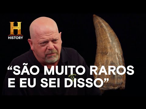 Leia mais sobre o artigo 🦖 Rick agora é um paleontólogo?🦖 | TRATO FEITO | HISTORY  #630