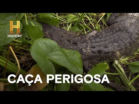 Você está visualizando atualmente Dupla de caçadores encontra um santuário de jacarés? | MERGULHADOS NO PÂNTANO | HISTORY